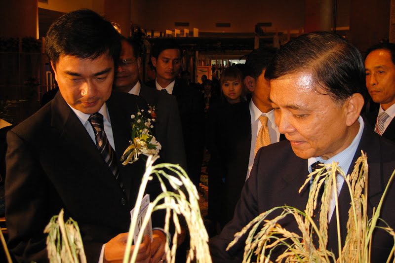 Photo: 2009-07-09 นิทรรศการ "การพัฒนาเชื้อราไตรโคเดอร์มาปฏิปักษ์ที่ช่วยเพิ่มผลผลิตและลดโรคข้าว"